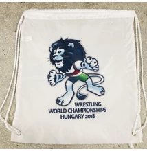 Sportzsák, oroszlános 2018